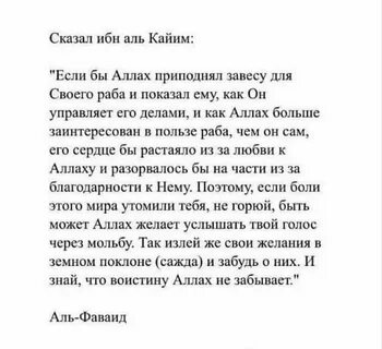 Сказал ибн