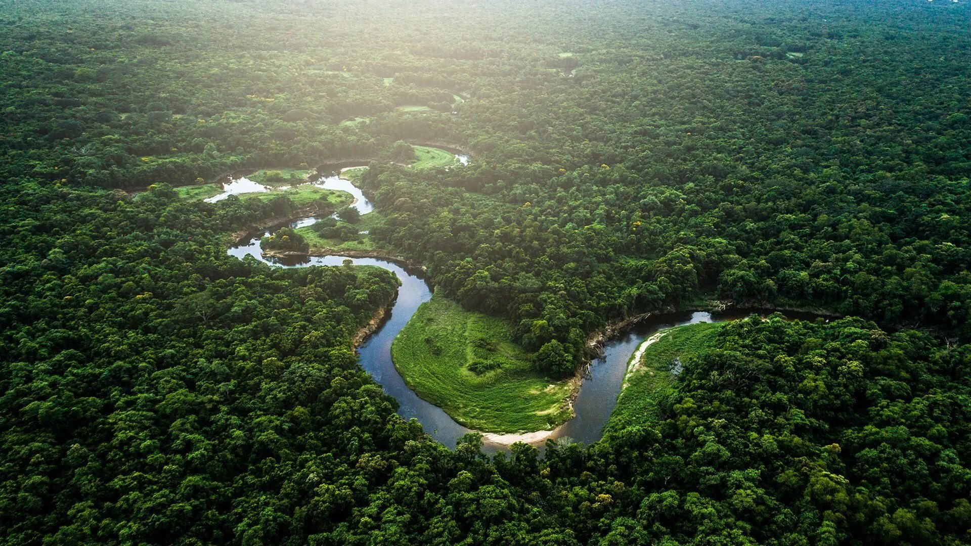 Реки страны бразилия. Бразилия тропические леса Сельва. Сельва амазонки, Южная Америка. Река Амазонка в Бразилии. Тропические леса амазонки в Бразилии.