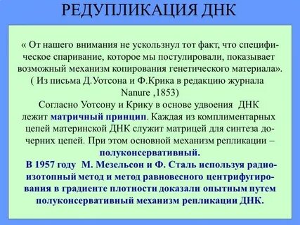 Редупликация биология