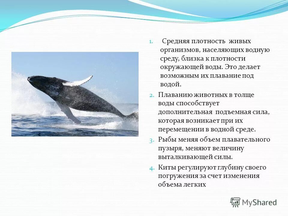 живые организмы населяющие водную. плавание тел животные. организмы населяющие водную среду. плавание живых организмов физика 7 класс. плотность воды в водной среде.