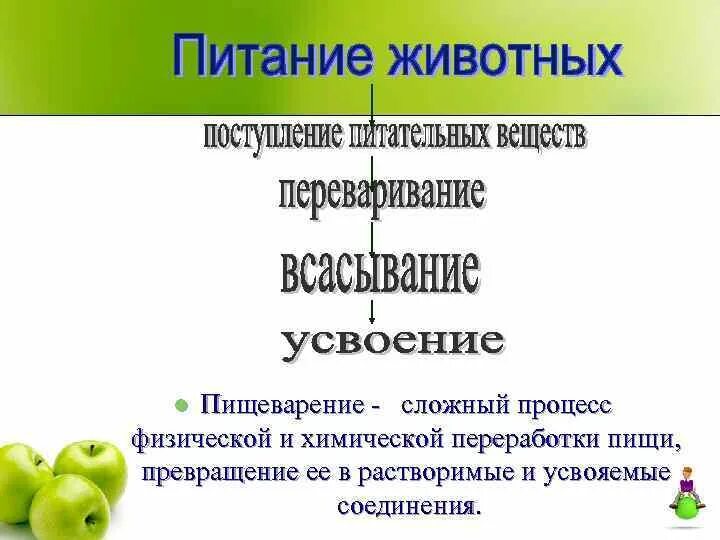 Питание животных 6 класс. Питание и пищеварение. Питание и пищеварение у животных. Питание и пищеварение у животных таблица. Способы пищеварения у животных.