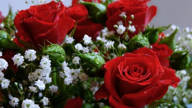 Flowers Wallpaper 1920x1080 WallpaperUP