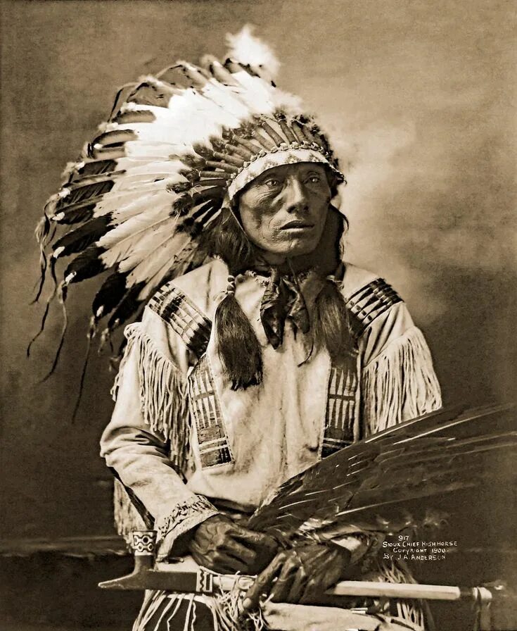 Племя сиу. Лакота Сиу. Вождь индейцев Сиу. Индейцы Северной Америки Сиу. Племя Сиу индейцы.