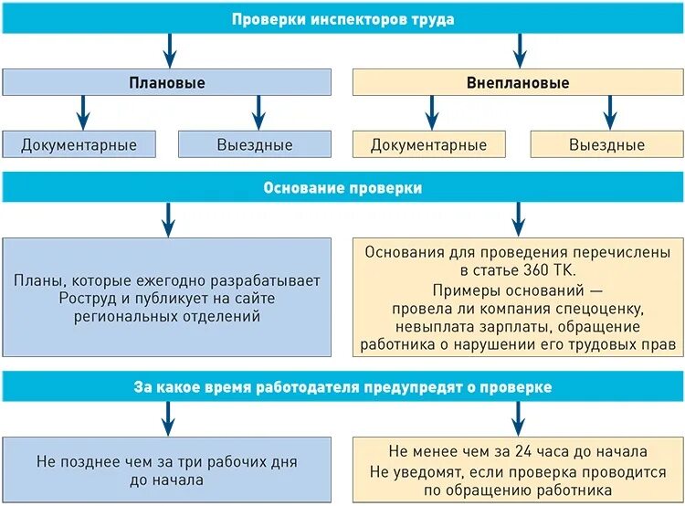 Результаты проведения плановых и внеплановых проверок. Плановые и внеплановые проверки. Плановый и внеплановый контроль. Плановые и внеплановые ревизии. Внеплановая проверка схема.