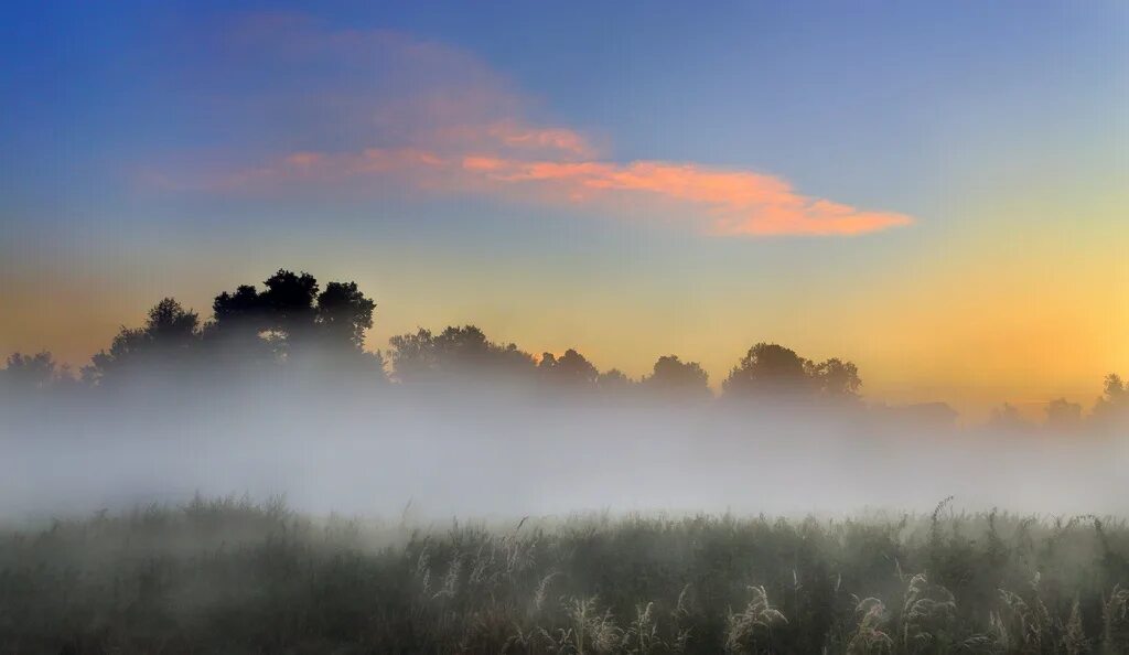 Туман. Туманный пейзаж. Природа туман. Природные явления туман. Дождь и туман.