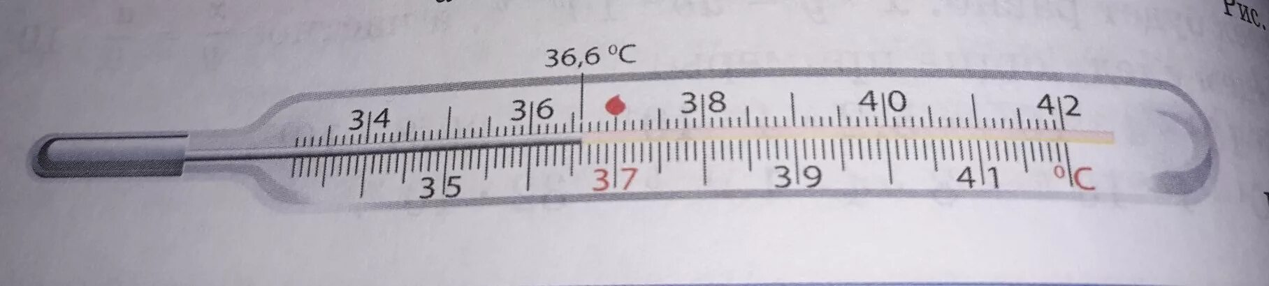 Градусник деления. Термометр деления шкалы градусника. Шкала деления термометра. Шкала медицинского термометра. Шкала деления градусника медицинского.