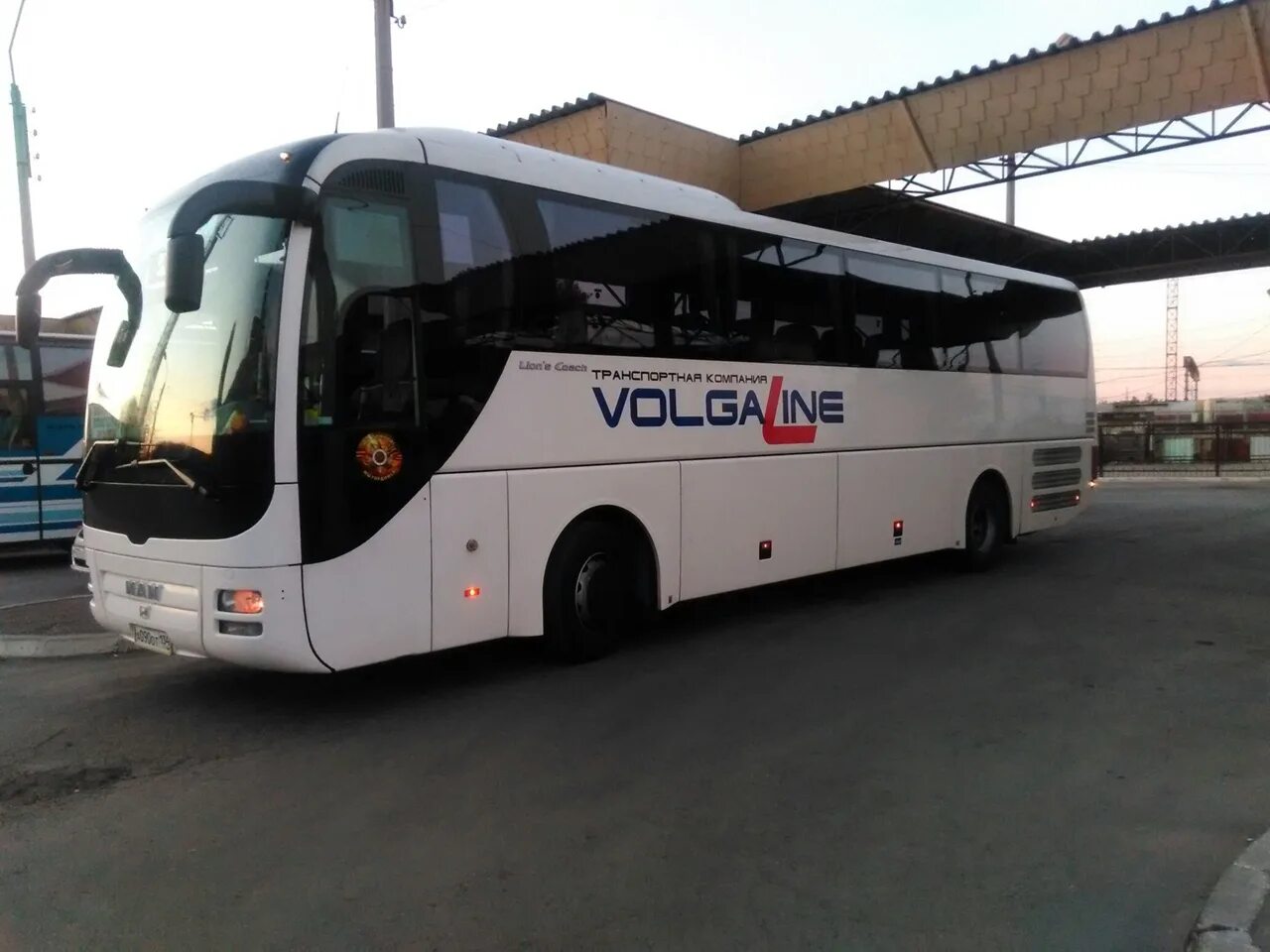 волга лайн логотип. фирмы автобусов. автобусы volgaline мест. волга лайн автобусы. хк волга.
