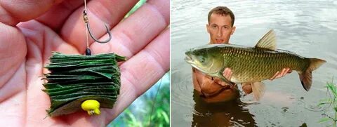 Приманка амуру