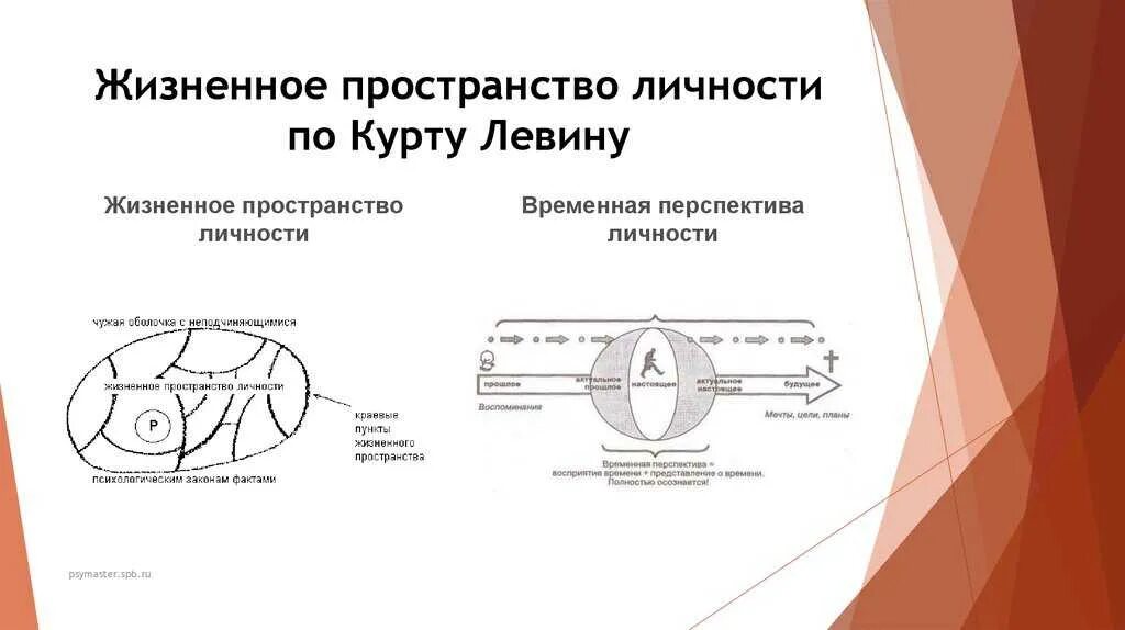 Жизненным пространством является. Жизненным пространством является