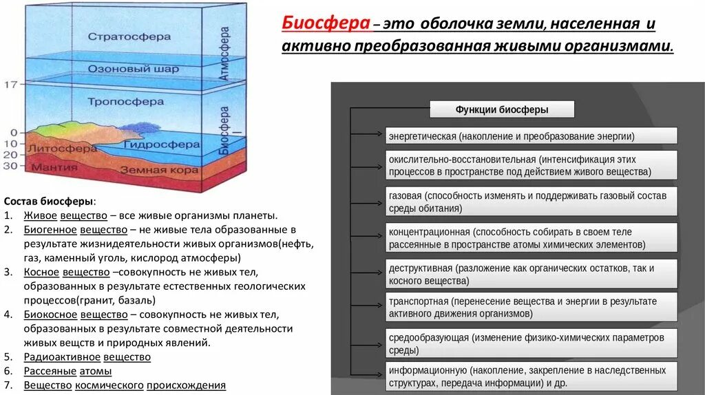 Выберите пример концентрационной функции биосферы. Функции биосферы. Функции вещества биосферы. Основная функция биосферы. Общая структура биосферы.