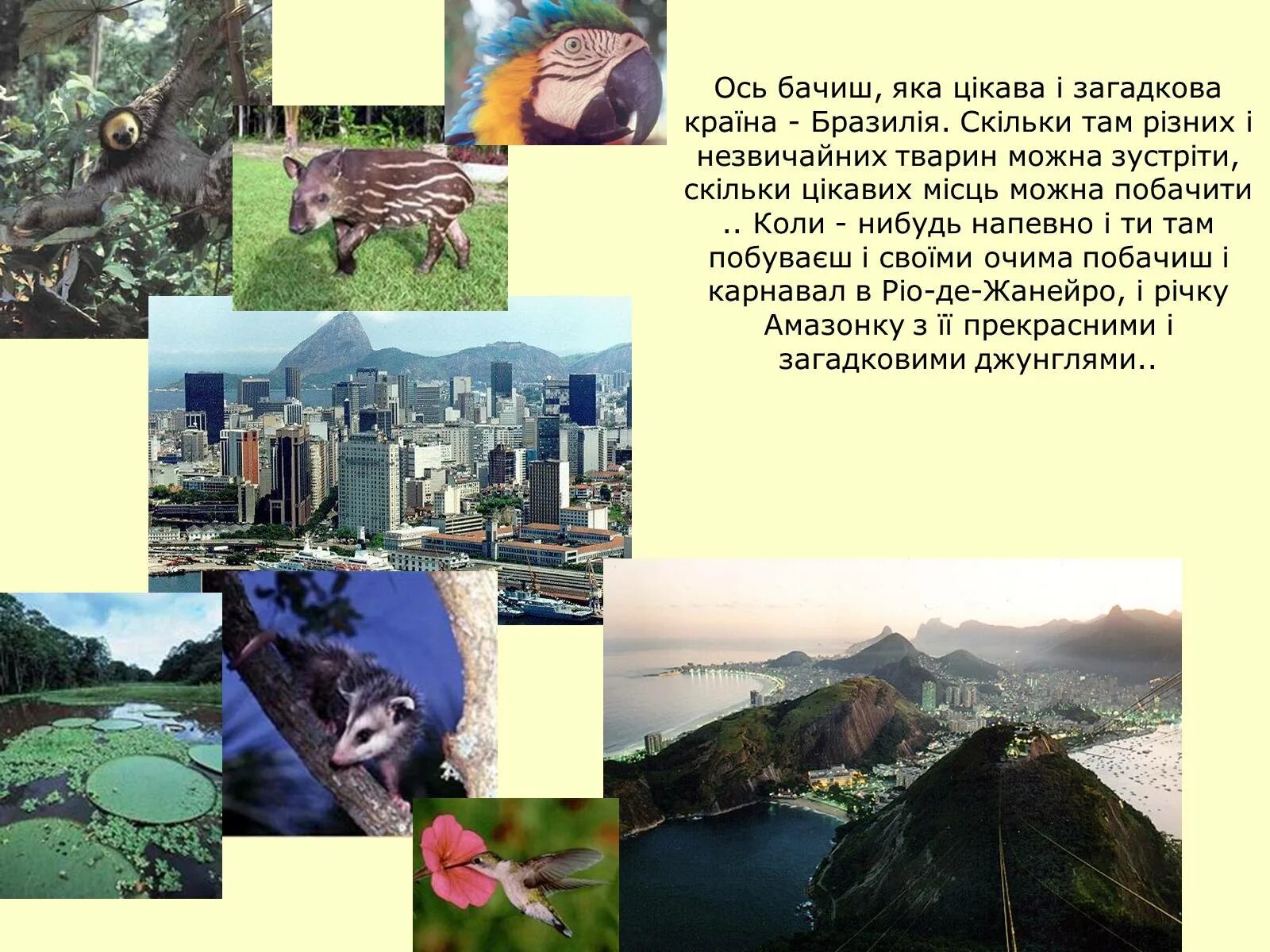 Природные зоны бразилии на карте. Федеративная республика бразилия страны южной америки. Презентация по географии бразилия. Бразилия материк. География характеристика бразилии.