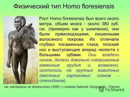 Почему человек произошел от обезьяны