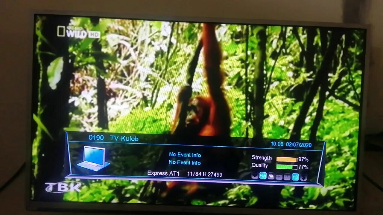Нат гео программа передач на сегодня. Видеокамеры телевидение nat geo wild. нат гео вайлд канал на триколор. расписание канала nat geo wild на сегодня. прекращены канал nat geo wild.