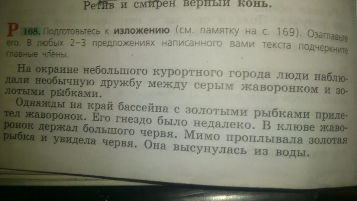 Изложение на окраине небольшого курортного города. Изложение Жаворонок. Изложение Жаворонок и золотые рыбки. Необычная Дружба изложение. Рыжик составить предложение