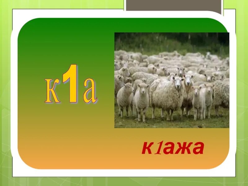 Как называется чеченский язык. Цвета на чеченском языке.