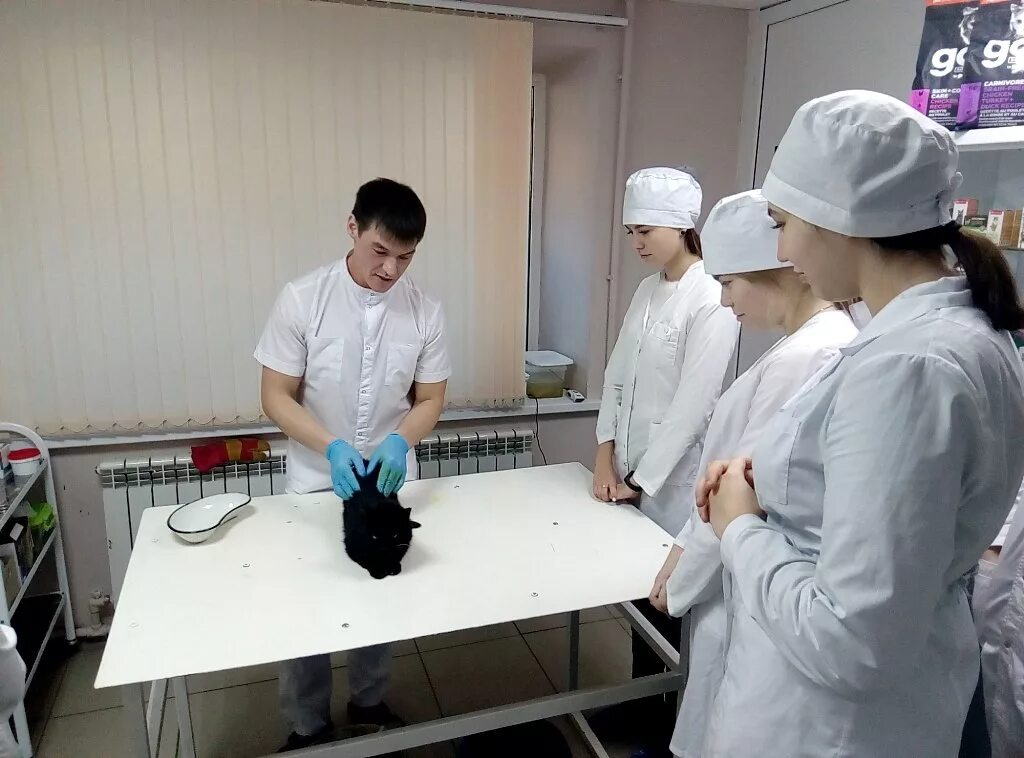 факультет ветеринарии