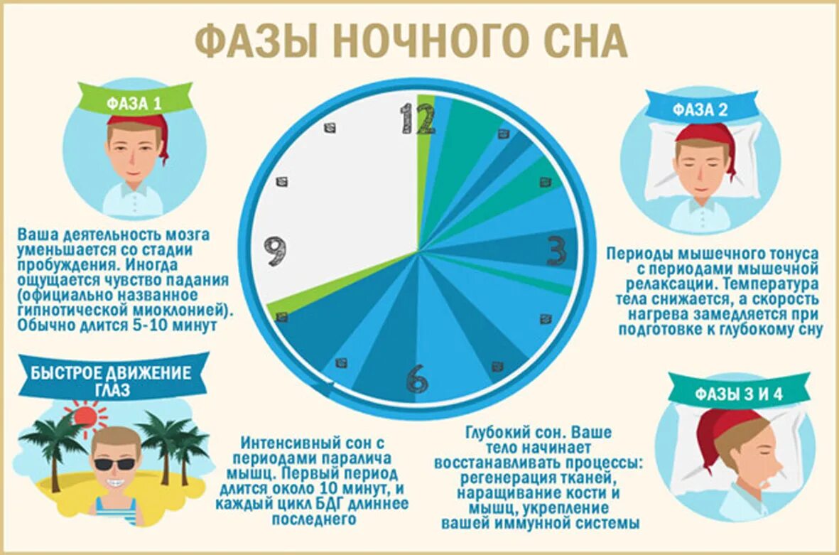 Период с 6 утра до. Фазы сна. Фазы сна человека. Сон фазы сна. Стадии сна человека по времени.