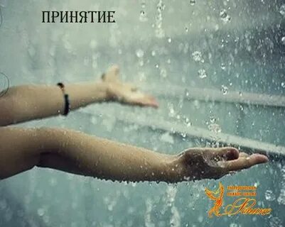 Люблю теплый дождь
