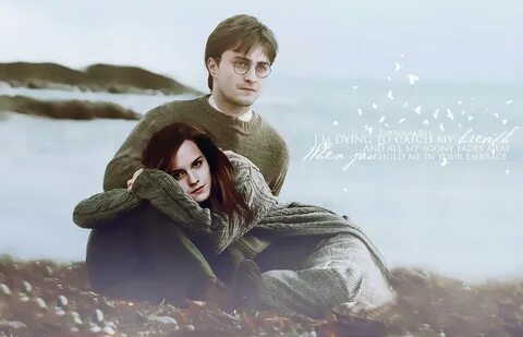 Potter in love