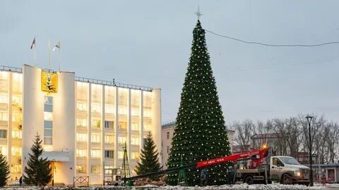 Ели архангельска