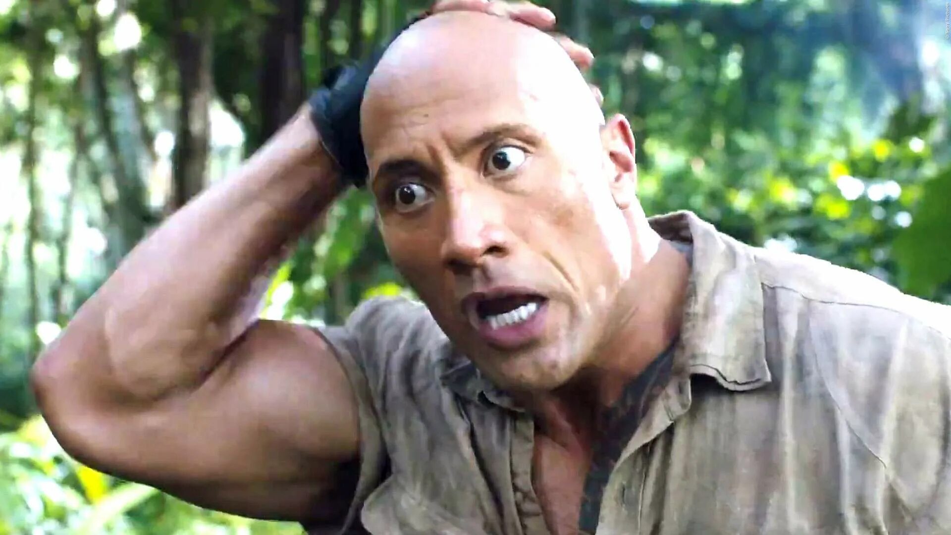 бровь дуэйна джонсона wwe. скал дуэйн джонсон с волосами. рок скала джонсон. дуэйн скала джонс удивление. удивлённый скала джонсон.