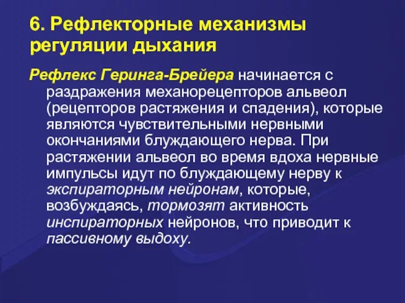 Регуляция блуждающего нерва. Механорецепторы . Рефлекс Геринга Брейера. Рефлекс херинга Бройра. Механизм рефлекса Геринга-Брейера.. Рефлекторный механизм регуляции дыхания.