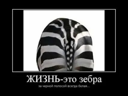 Белый черный потом