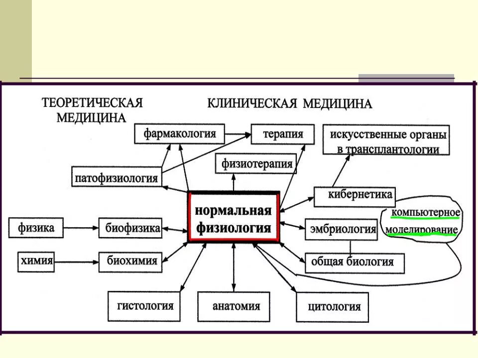 Связь нормальной физиологии с другими дисциплинами. Связь афазиологии с другими науками. Взаимосвязь физиологии с другими науками. Взаимосвязь патологической физиологии с другими дисциплинами.