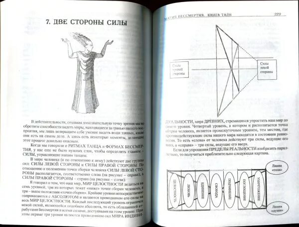 Магия бессмертия. Книга тайн. Книга тайн магия бессмертия pdf. Заклинание бессмертности. Бессмертный книга.