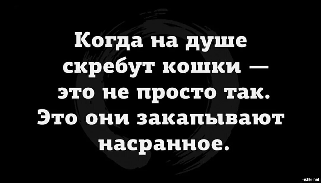 На душе скребутся кошки. На душе кошки скребут статус. Когда на душе кошки скребут. Если на душе скребут кошки.