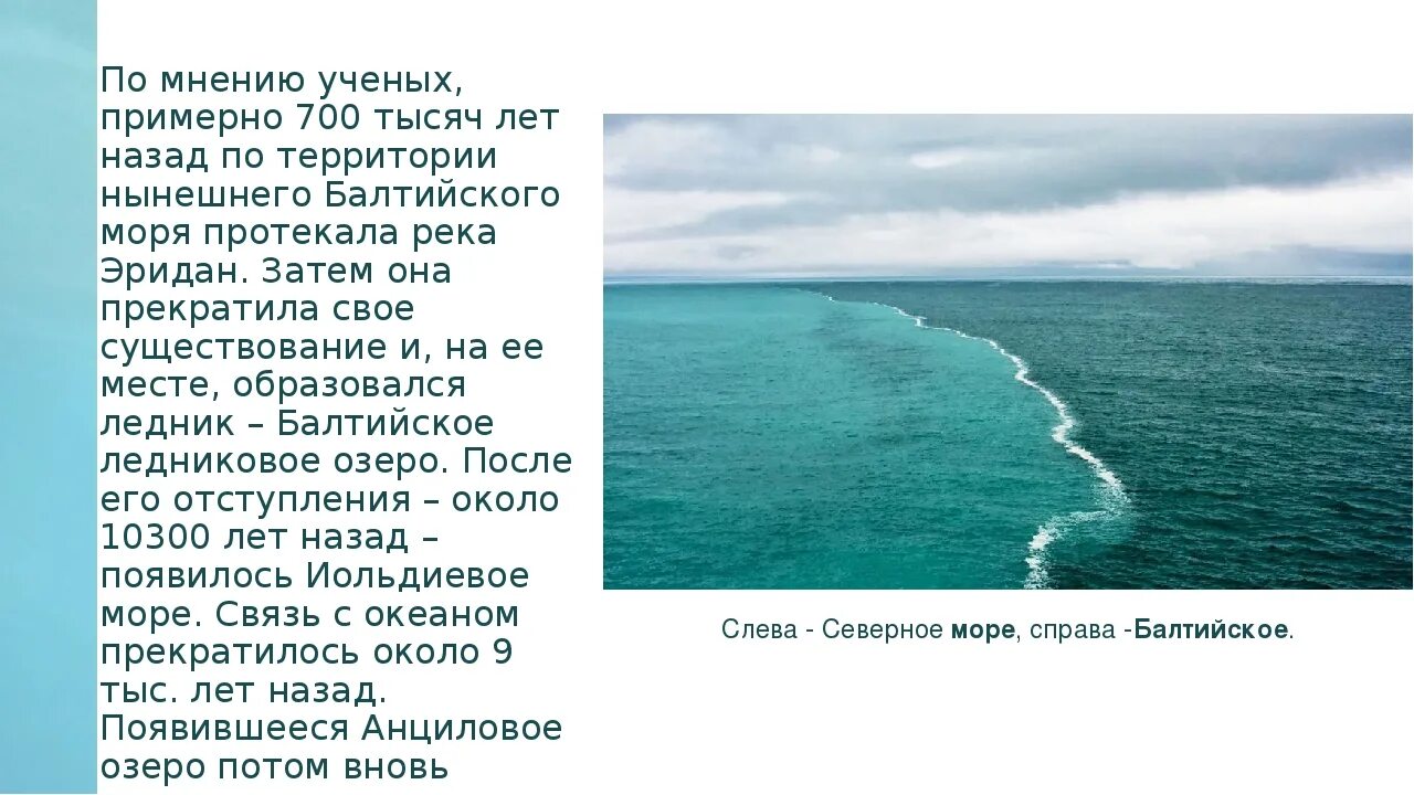 Рассказ о красоте моря 2 класс кратко. Балтийское море рассказ. Сведения о Балтийском море. Описание моря. Балтийское море характеристика.