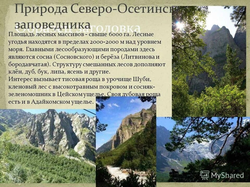 бухта ефремова большого арктического заповедника. информация о джергинском заповеднике. описание заповедника. самые большие заповедники россии. наибольший по площади заповедник.