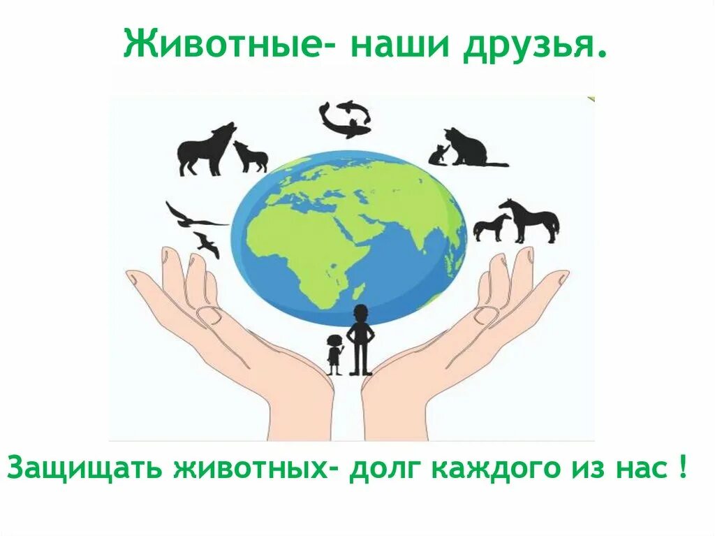 Формирование ответственного отношения к животным