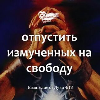 Отпущен на свободу