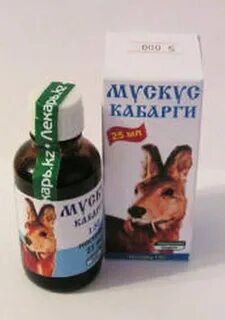 Мускус кабарги что это такое