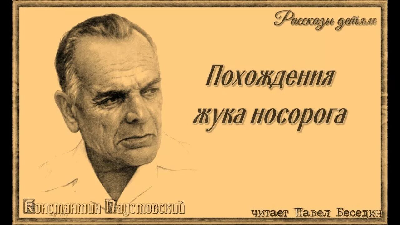 Приключения жука-носорога Паустовский. Паустовский похождения жука носорога. Жук носорог Паустовский. Паустовский солдатская