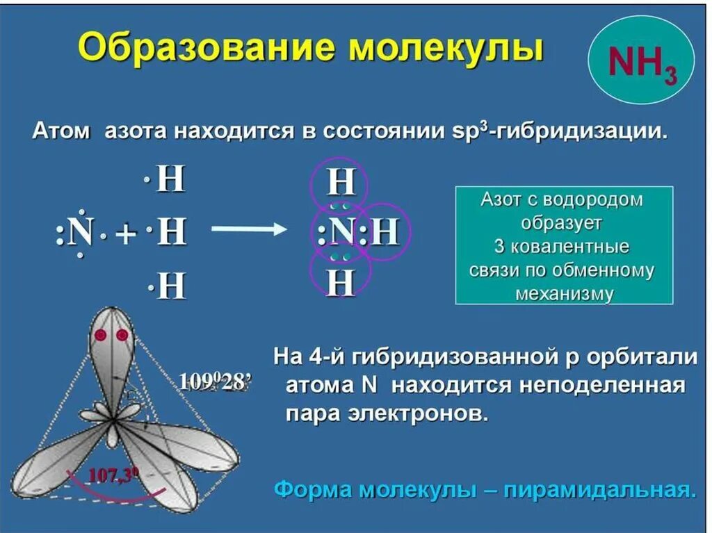 Тип гибридизации в молекуле nh3. Sp3 гибридизация nh3. ) Гибридизация атомных орбиталей азота – sp3. Nh3 Тип гибридизации центрального атома. Образование связи азота