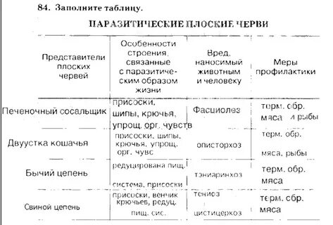 Назовите системы органов плоских червей