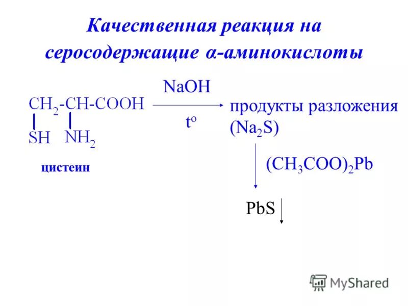 Ответы нмо нарушение обмена серосодержащих аминокислот. Ответы нмо нарушение обмена серосодержащих аминокислот