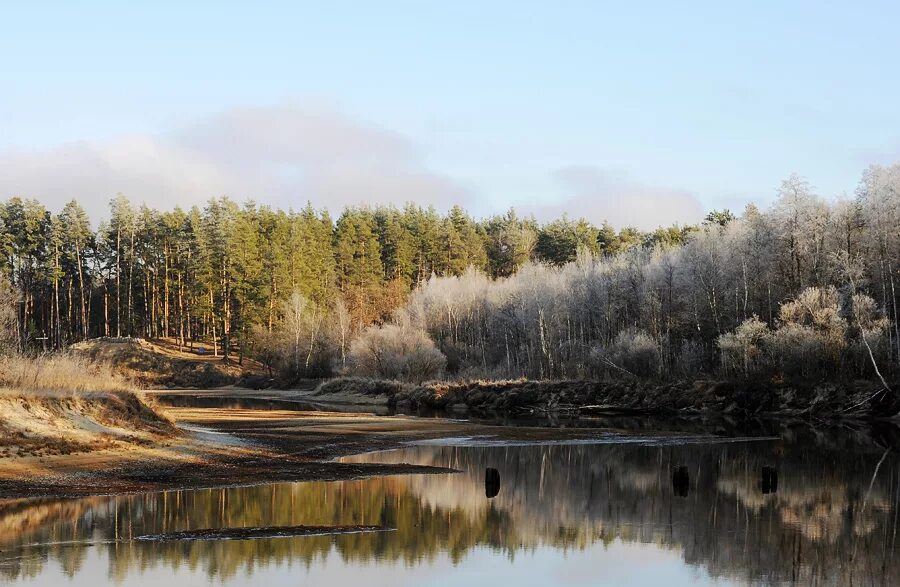 окский биосферный заповедник