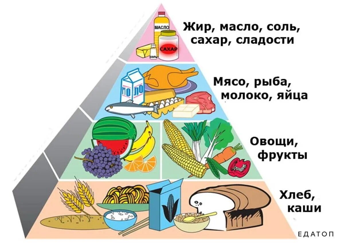 Что мы едим 1 класс