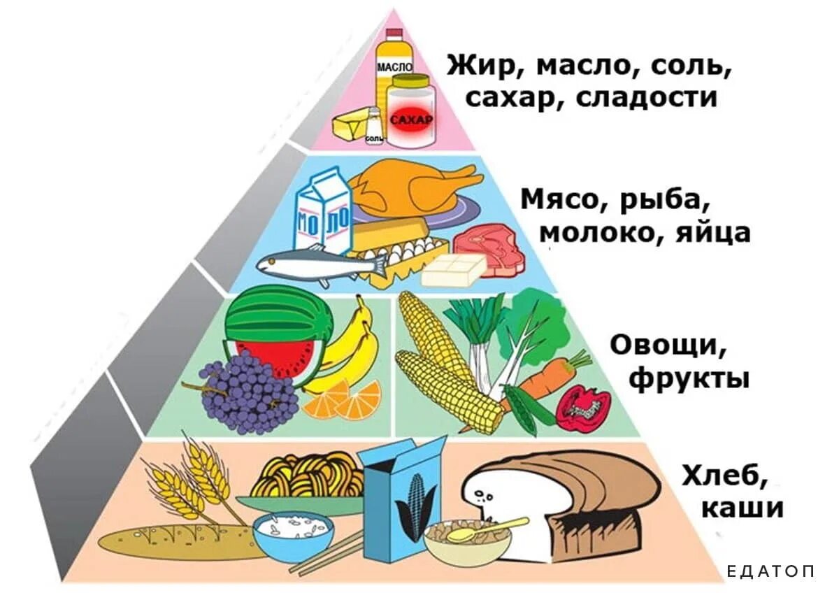 Мы есть то сколько мы едим. Пирамида питания здорового человека. Пирамида питания пищевая пирамида школьника. Рацион правильного питания пирамида. Пирамида здорового питания для детей школьного возраста.