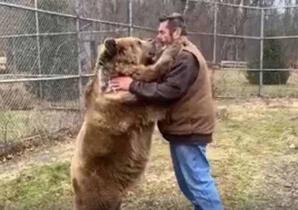 Видео собака привела медведей. Джим Ковальчик и его медведи. Медведица жена. Медведь 2.0 Fold.