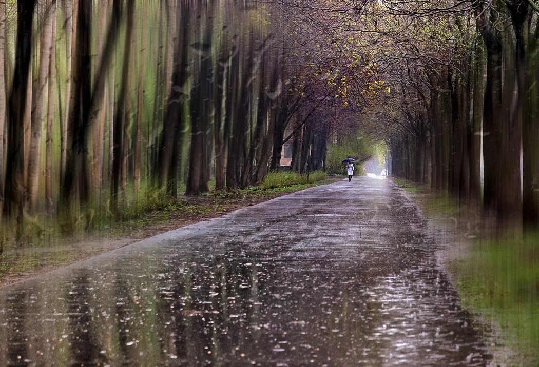 девушка уходит в даль. деревенская дорога ночью. зонтик для детей. дождливый день. идет дождь в дорогу.