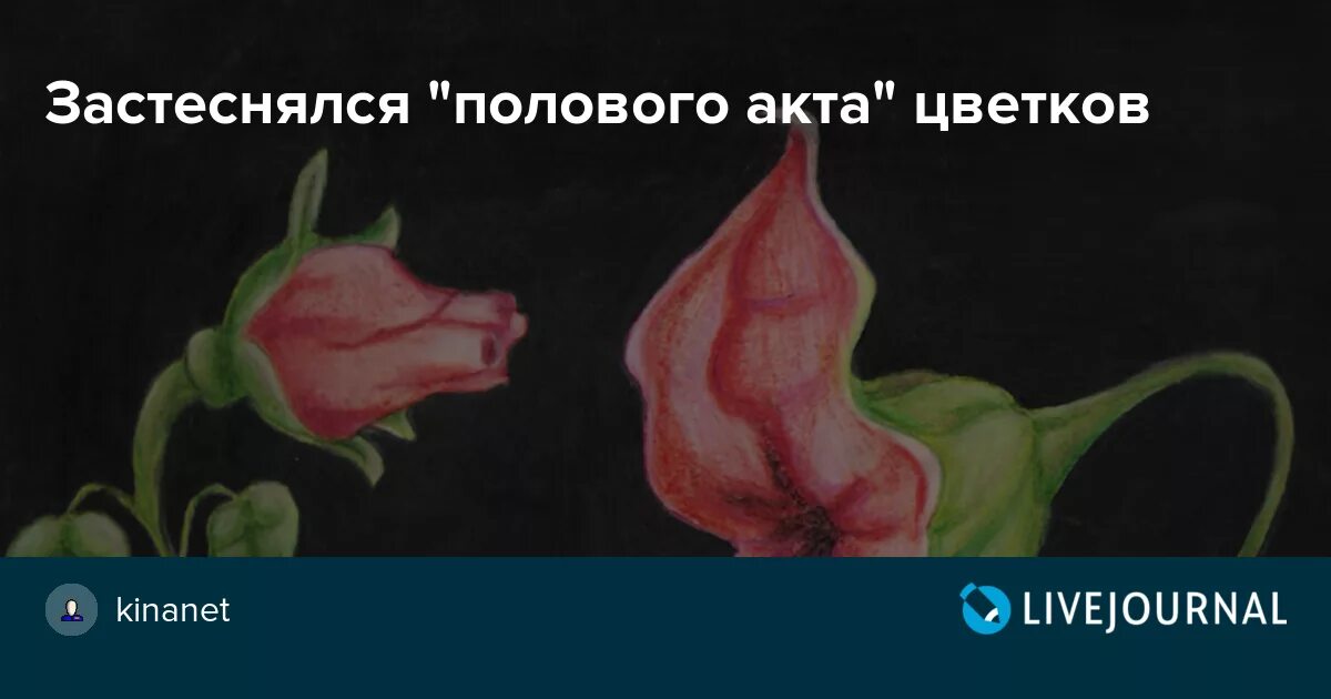 Схема полового акта. Иллюстрация полового акта. Красочное изображение полового акта. Картинка половой СКТ. После первого полового акта можно