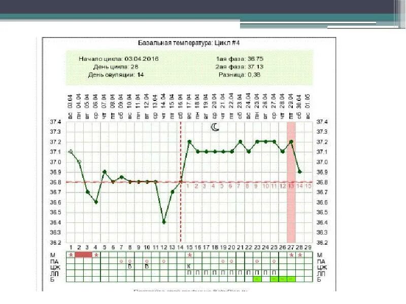 Температура второй фазы. Базальная температура 36,8 после овуляции до задержки. БТ беременный цикл. График базальной температуры цикл 25 дней. 24 День цикла базальная температура 37.