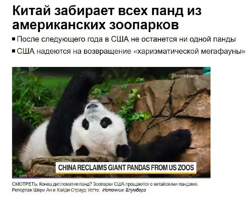 почему все панды принадлежат китаю. почему все панды принадлежат китаю. почему все панды принадлежат китаю. панда в южной корее. почему все панды принадлежат китаю.