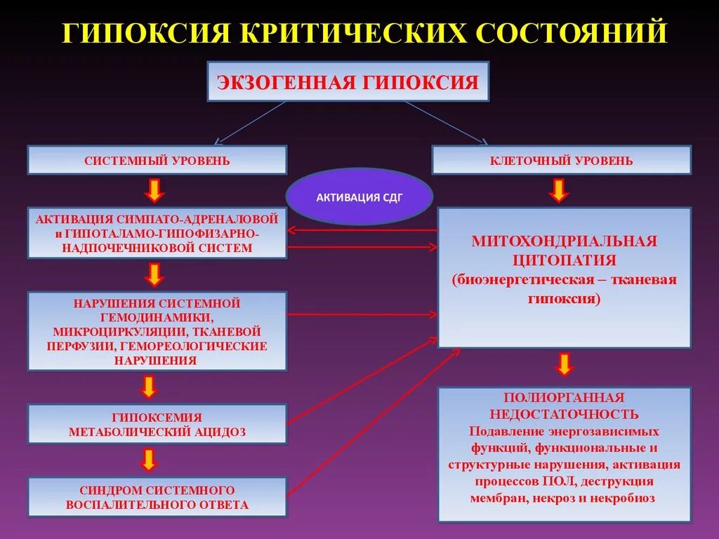 Физическое состояние клетки. Патогенез острой гипоксии. Патогенез хронической гипоксии. Причины гипоксии. Причины острой гипоксии.