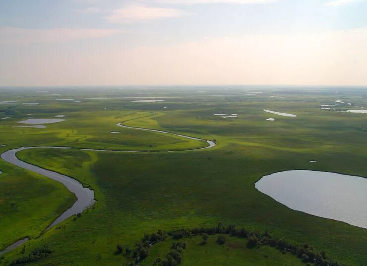 Почему низина. Западно Сибирская равнина. Западно Сибирская равнина Красноярск. Западно-Сибирская равнина фото. Запод Сибирская Ровнина.