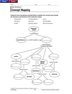 Complete the structures
